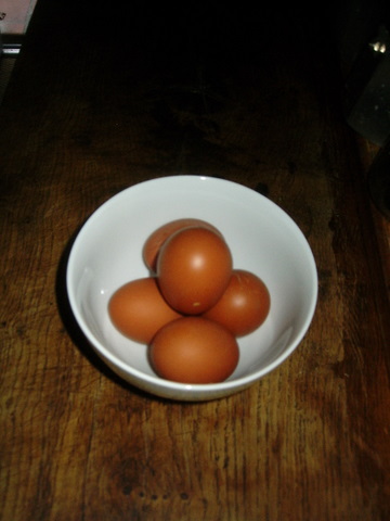 Bowl of eggs.JPG